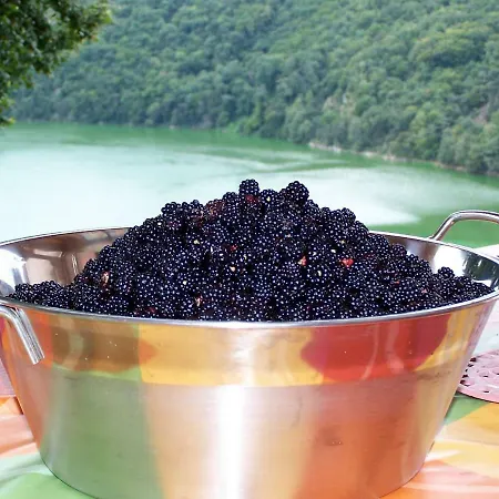 Yourtes La Ferme De La Source بيت ضيافة